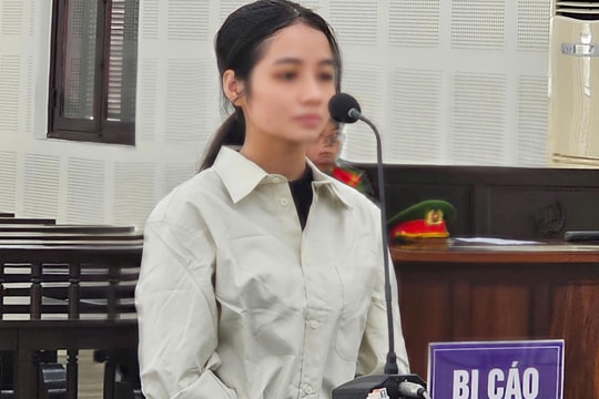 Phiên dịch viên tổ chức cho người khác ở lại Việt Nam trái phép