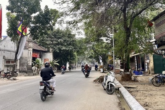 Ban Quản lý dự án đầu tư xây dựng quận Tây Hồ, Hà Nội: Trong 8 ngày chọn xong 3 nhà thầu các dự án