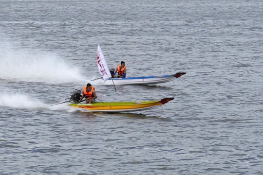 Sôi nổi ngày hội đua vỏ lãi tỉnh Cà Mau năm 2024