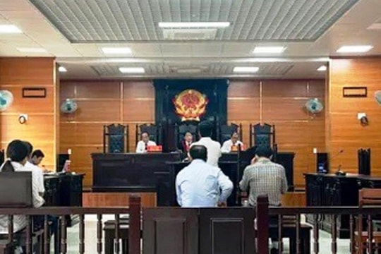 Vi phạm quy định về đấu thầu, 3 giám đốc doanh nghiệp lĩnh án