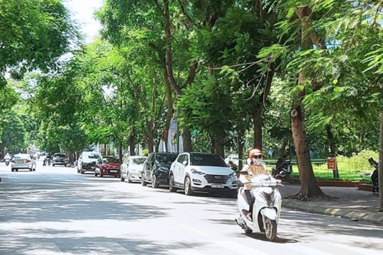 Thời tiết ngày 22/11/2024: Miền Bắc sáng và đêm lạnh, Trung Bộ mưa lớn