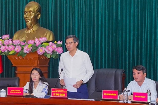 Hải Phòng chỉ đạo kiểm tra, xử lý hơn 250 dự án có dấu hiệu vi phạm