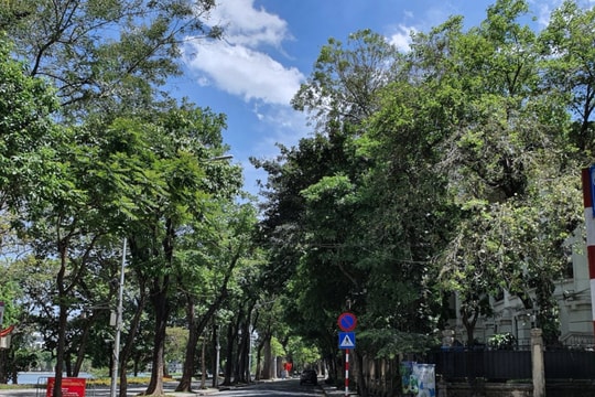 Thời tiết ngày 23/11/2024: Miền Bắc giảm nhiệt độ