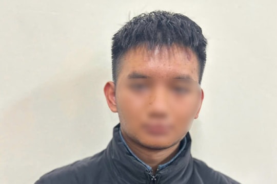 Bắt đối tượng "ngáo đá" khỏa thân cướp ô tô, đánh tử vong cụ ông ở Hà Nội