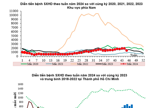 Chủ động phòng chống dịch bệnh Sốt xuất huyết