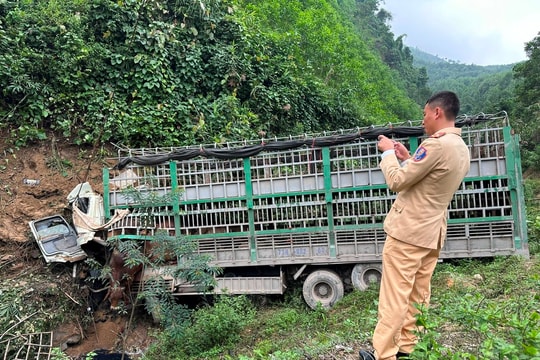 Quảng Bình: Xe tải chở bò lao xuống vực, tài xế thiệt mạng
