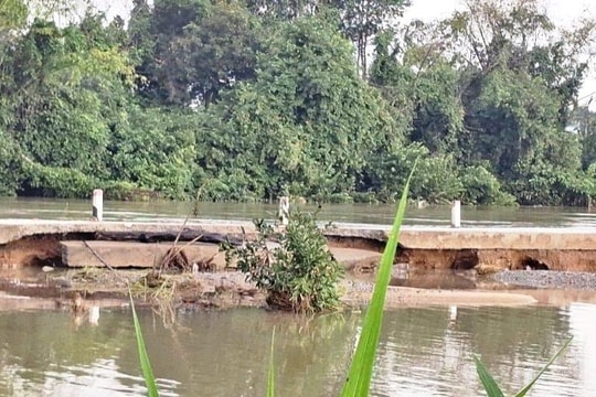 Mưa lũ gây thiệt hại nặng về giao thông, sạt lở ở Quảng Ngãi