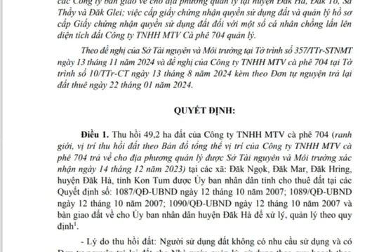 Kon Tum: Thu hồi hơn 49 ha đất của Công ty TNHH MTV cà phê 704