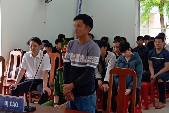 Lãnh án vì sử dụng giấy phép lái xe giả