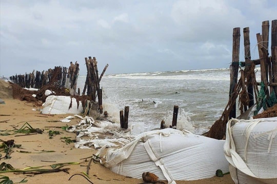 Thời tiết bất lợi, biển Hội An lại tiếp tục sạt lở