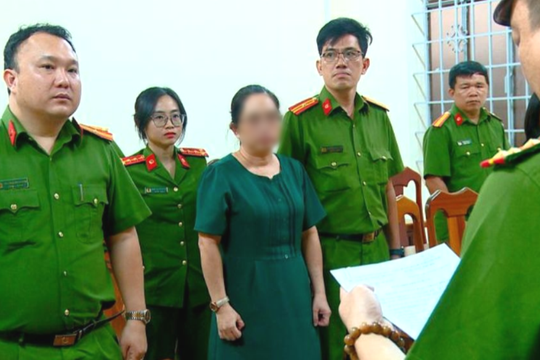 Khởi tố Giám đốc Ban và doanh nghiệp vi phạm “thông thầu”