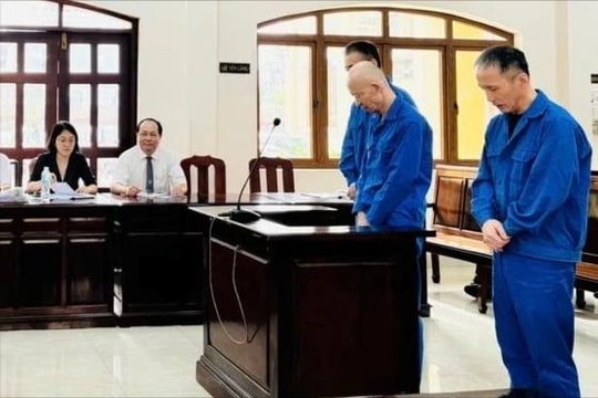 Tòa tuyên án nhóm người Hàn Quốc trộm cắp tài sản ở Việt Nam