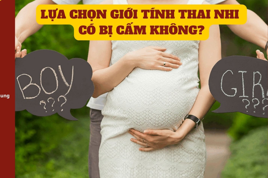 Thanh tra việc thực hiện quy định về nghiêm cấm lựa chọn giới tính thai nhi