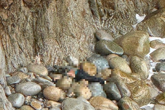 Bình Định: Đào cây cảnh, người đàn ông rơi xuống vách núi tử vong