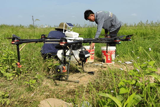 Từ vụ drone va chạm làm 1 người chết: Cần tuân thủ an toàn hoạt động bay