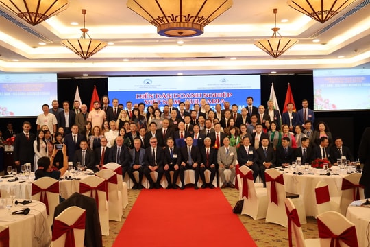 Bulgaria mong muốn đầu tư khu chế xuất, đường cao tốc ở TP.HCM