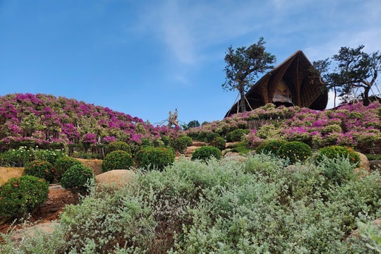 Phú Quốc (Kiên Giang): Cần xem xét, cho phép người dân sử dụng đất kết hợp đa mục đích