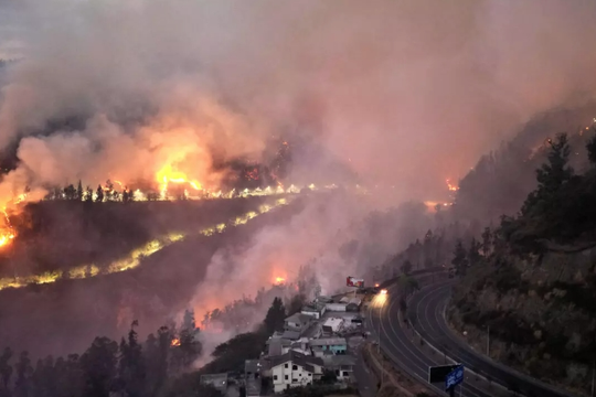 1,5 triệu ca tử vong mỗi năm liên quan tới ô nhiễm do hỏa hoạn