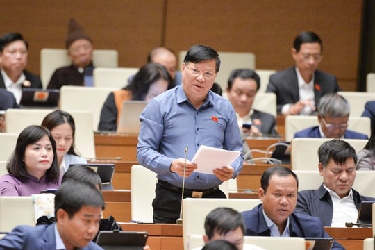 Xây dựng hệ thống cơ sở dữ liệu quốc gia về tiêu chuẩn và quy chuẩn kỹ thuật