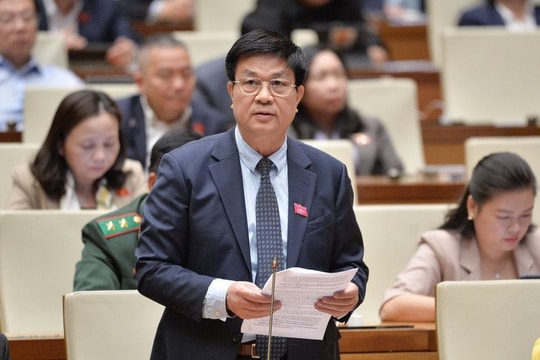 Hạn chế tối đa thất thu thuế