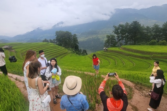 Lượng khách du lịch từ TP. Hồ Chí Minh đi Tây Bắc ngày càng tăng