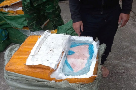 Thu giữ gần 1 tấn nầm lợn đông lạnh không rõ nguồn gốc