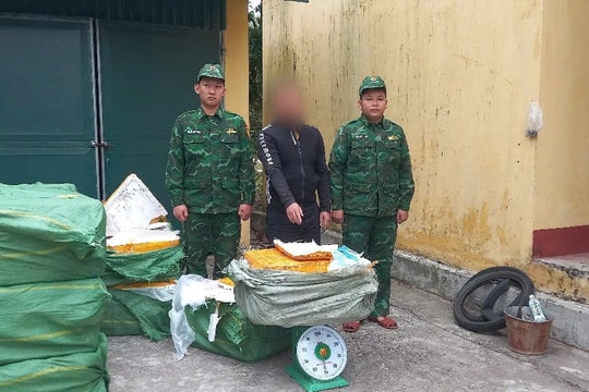 Thu giữ gần 1 tấn nầm lợn đông lạnh không rõ nguồn gốc