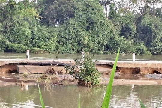 Quảng Ngãi: Địa phương thứ 2 đề nghị công bố tình huống khẩn cấp về sạt lở do mưa lũ