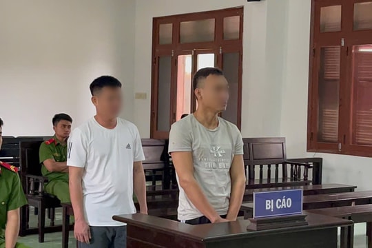 Lâm tặc hất gỗ xuống đường làm Công an bị thương nặng