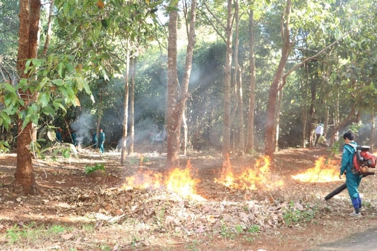 Thời tiết ngày 30/11: Thời tiết hanh khô, đề phòng cháy nổ