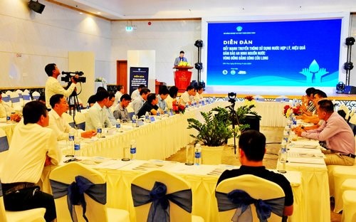 Nhiều thách thức trong đảm bảo an ninh nguồn nước tại ĐBSCL