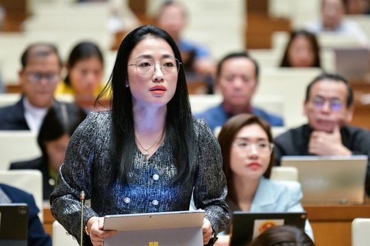 Tiếp tục đổi mới công tác giám sát của Quốc hội, HĐND các cấp​