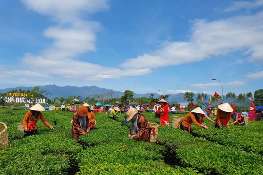 Huyện Hải Hà phát triển du lịch gắn với bảo tồn giá trị di sản văn hóa