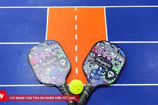 Bị lừa 400 triệu do đăng ký học qua tài khoản facebook “Liên đoàn Pickleball Việt Nam”