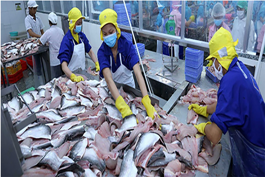 Xuất khẩu thuỷ sản "sáng cửa" cán đích 10 tỷ USD năm 2024