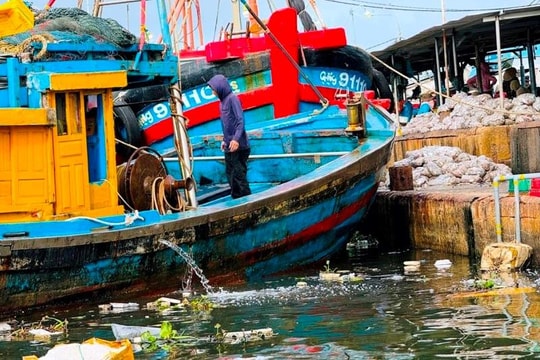 Quảng Ngãi: Ô nhiễm môi trường từ các cảng cá