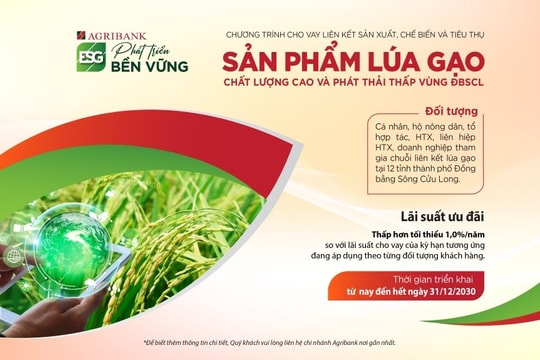 Agribank triển khai cho vay liên kết vùng lúa gạo ĐBSCL