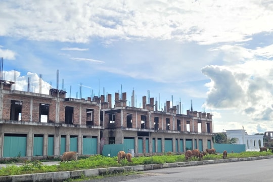 Chấm dứt Dự án Tổ hợp thương mại, dịch vụ vui chơi giải trí của FLC tại Kon Tum