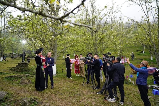 Tuyên Quang tổ chức xúc tiến phát triển 'Điện ảnh với du lịch'