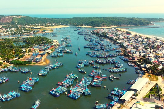 Bình Định: Kỷ luật khiển trách Giám đốc Ban Quản lý cảng cá và dịch vụ đô thị, thị xã Hoài Nhơn