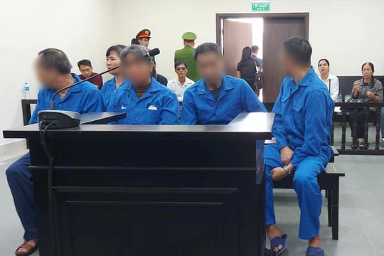 Nhóm đối tượng lĩnh án vì lưu hành tiền đô la giả