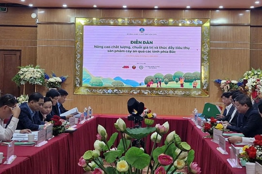 Nâng cao chất lượng, thúc đẩy tiêu thụ sản phẩm cây ăn quả các tỉnh phía Bắc