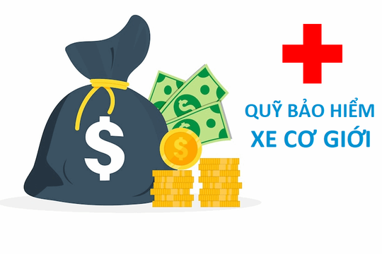 Quỹ Bảo hiểm xe cơ giới hỗ trợ nhân đạo tại Lâm Đồng