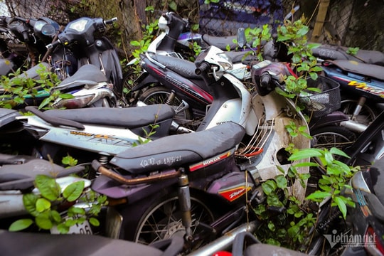 Dự thảo quy định về xác lập quyền sở hữu toàn dân đối với tài sản