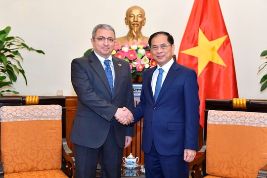 Phó Thủ tướng, Bộ trưởng Ngoại giao Bùi Thanh Sơn tiếp Đại sứ Cộng hòa Azerbaijan