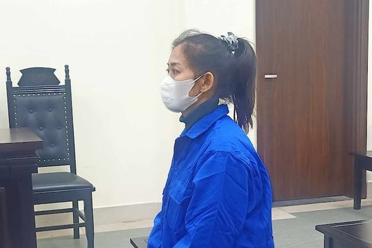 Lừa góp vốn buôn bán hoa quả chiếm đoạt hơn 9 tỷ đồng của nhiều bị hại