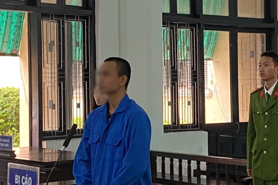 Chở khách nhập cảnh trái phép, tài xế bị phạt tù