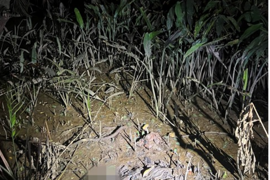 Bộ xương người xuất hiện dưới gầm đường dẫn cao tốc