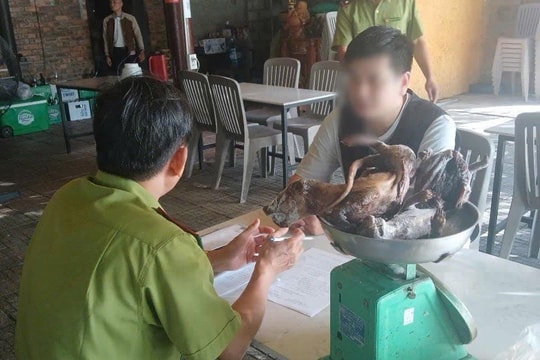Một nhà hàng ở Huế buôn bán động vật rừng bị bắt quả tang