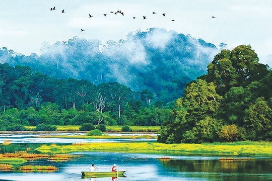Đồng Nai quyết liệt bảo vệ nguồn nước ngầm trước tình trạng suy giảm nghiêm trọng